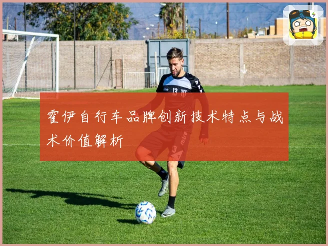 霍伊自行车品牌创新技术特点与战术价值解析