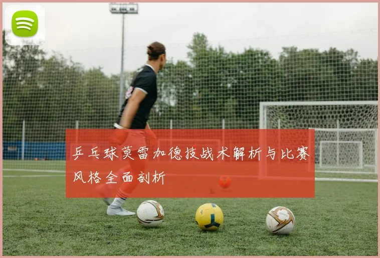 乒乓球莫雷加德技战术解析与比赛风格全面剖析