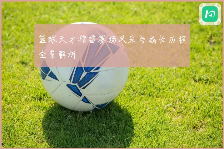 篮球天才穆雷赛场风采与成长历程全景解析