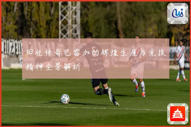 田径传奇巴雷加的辉煌生涯与竞技精神全景解析