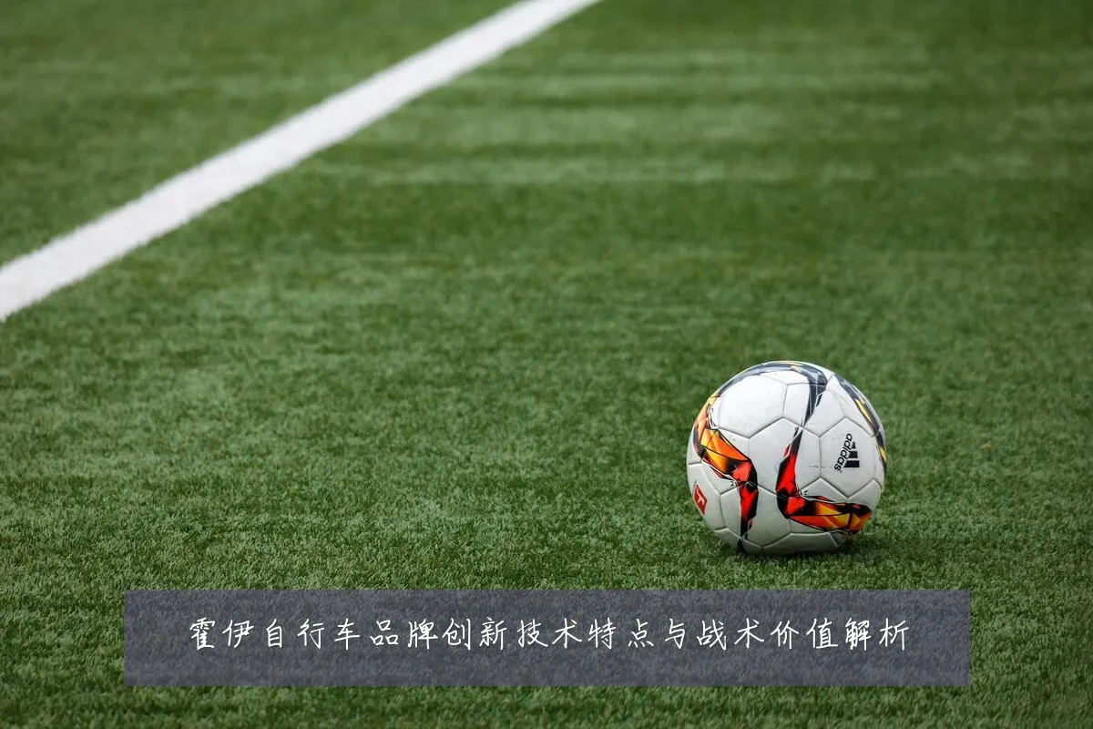 霍伊自行车品牌创新技术特点与战术价值解析