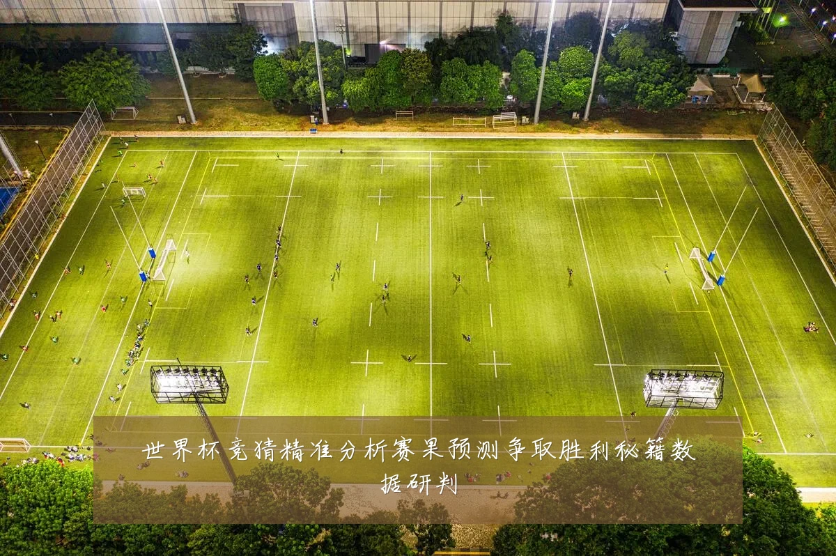 世界杯竞猜精准分析赛果预测争取胜利秘籍数据研判
